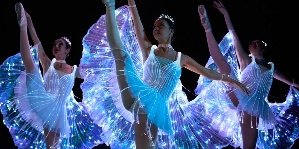 Wij noemen het Ballet in Hamburg
